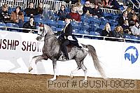 09usn-09055 proof
