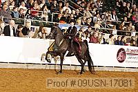09usn-17081 proof