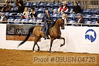 09usn-04728 proof