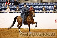 09usn-04733 proof