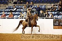 09usn-04734 proof