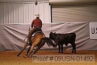 09usn-01492 proof