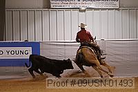09usn-01493 proof