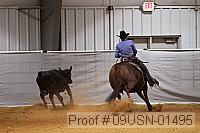 09usn-01495 proof