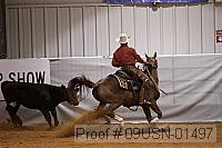 09usn-01497 proof