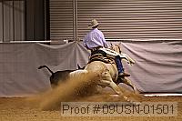09usn-01501 proof