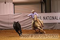09usn-01503 proof