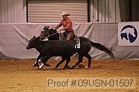 09usn-01507 proof