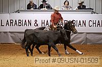 09usn-01509 proof