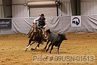 09usn-01513 proof
