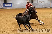 09usn-01516 proof
