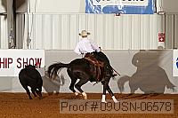 09usn-06578 proof