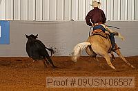 09usn-06587 proof