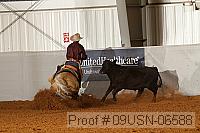 09usn-06588 proof