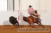 09usn-06596 proof