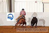 09usn-06597 proof