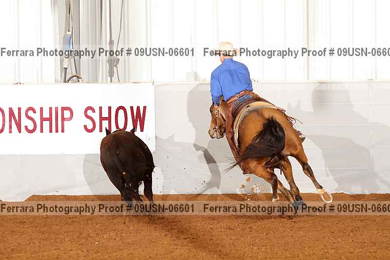 Proof 09usn-06601