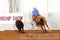 09usn-06601 proof