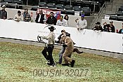 09usn-32077 proof