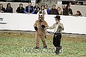 09usn-32086 proof