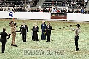 09usn-32102 proof