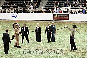 09usn-32103 proof