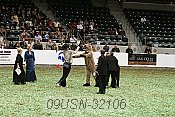 09usn-32106 proof
