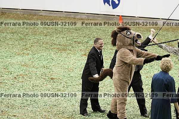 Proof 09usn-32109