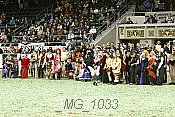 _mg_1033 proof