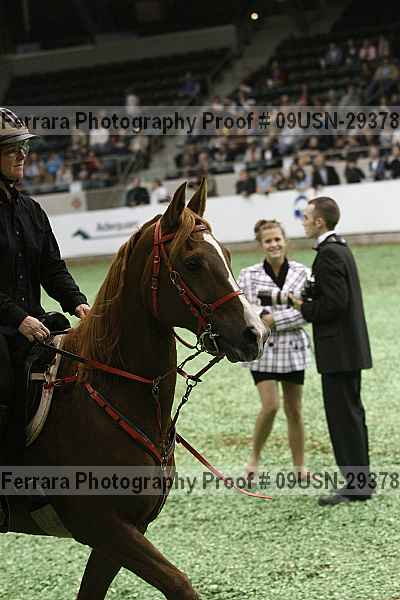 Proof 09usn-29378
