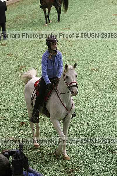 Proof 09usn-29393