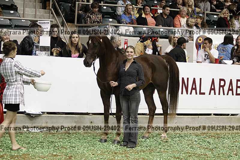 Proof 09usn-29402