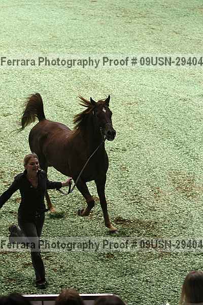 Proof 09usn-29404