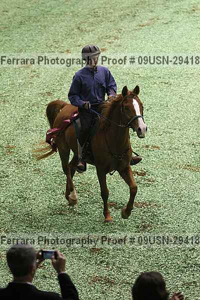 Proof 09usn-29418