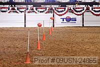 09usn-24865 proof
