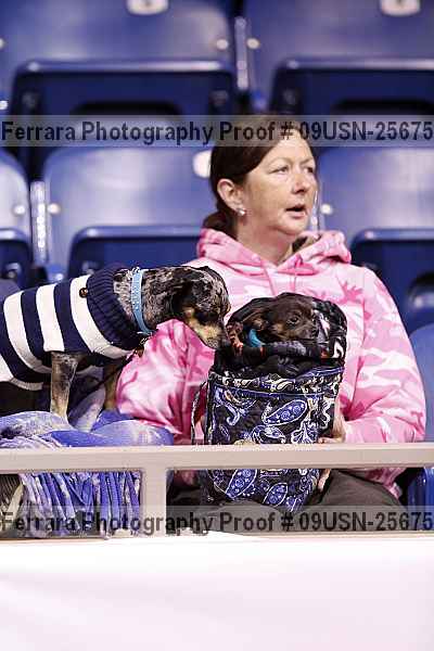 Proof 09usn-25675
