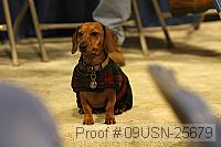 09usn-25679 proof