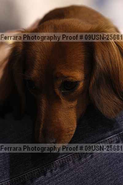 Proof 09usn-25681