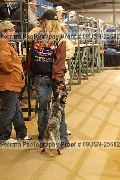 Proof 09usn-25682