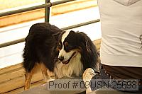 09usn-25698 proof