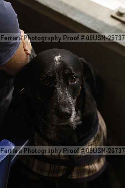 Proof 09usn-25737