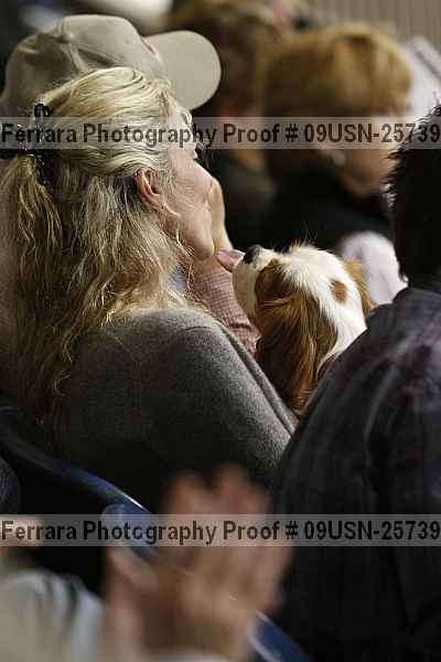 Proof 09usn-25739