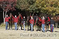 09usn-24375 proof