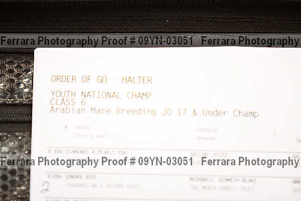 Proof 09yn-03051