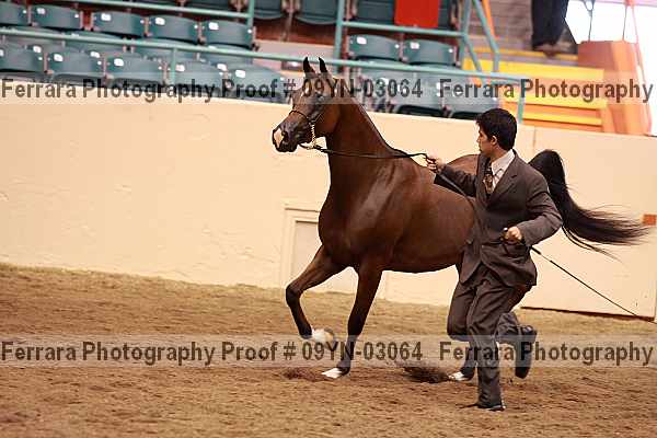 Proof 09yn-03064