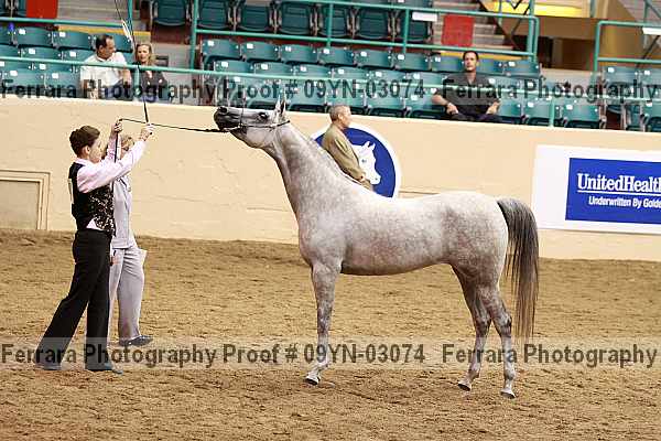 Proof 09yn-03074