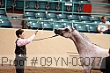 09yn-03077 proof