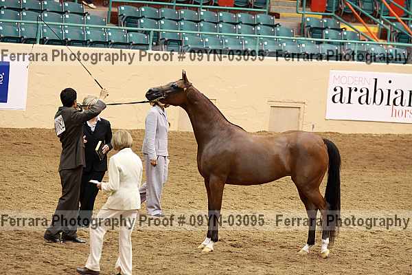 Proof 09yn-03095