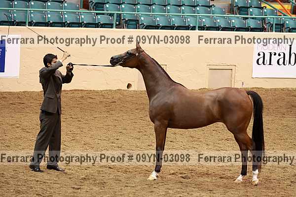 Proof 09yn-03098