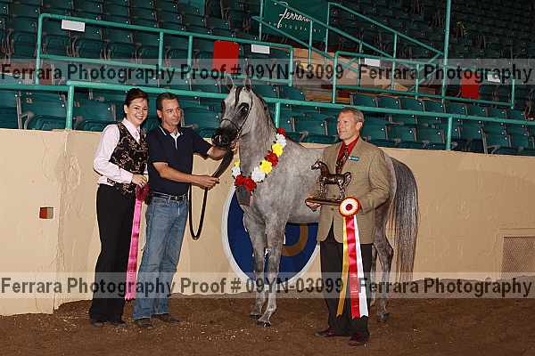 Proof 09yn-03099